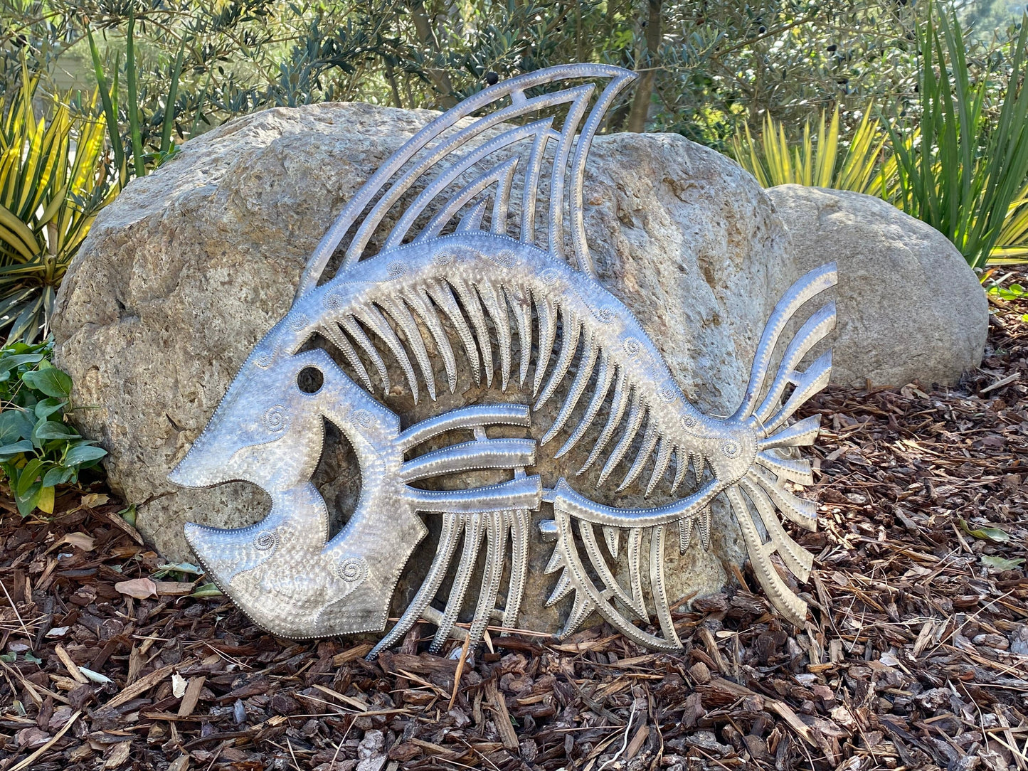 Bone Fish