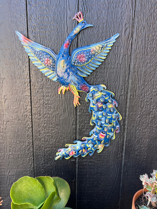 Medium Peacock