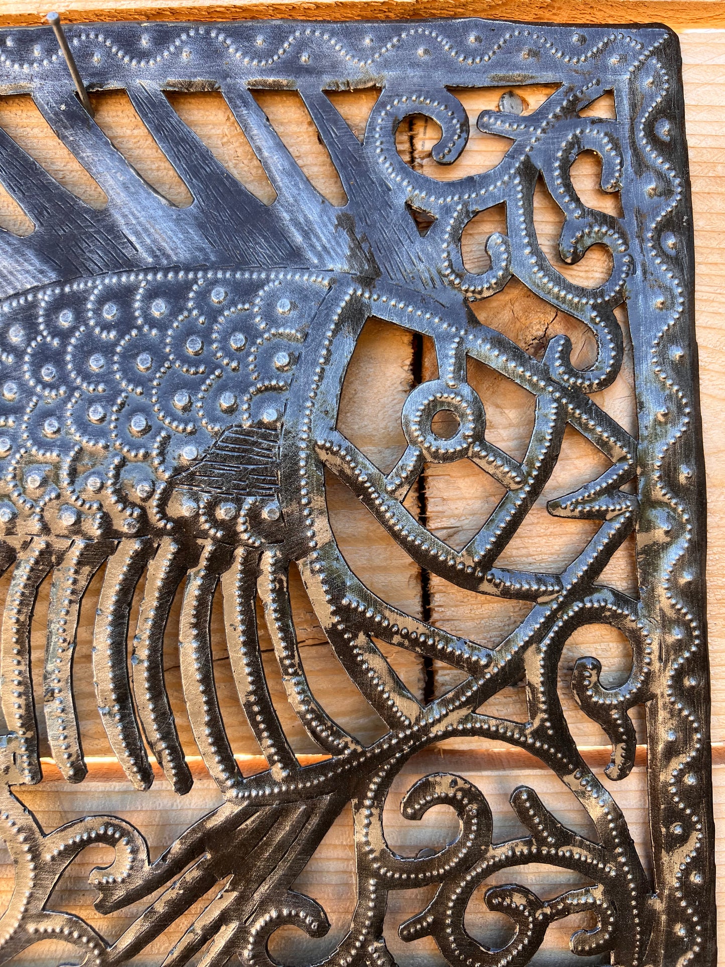 Fish in a Frame