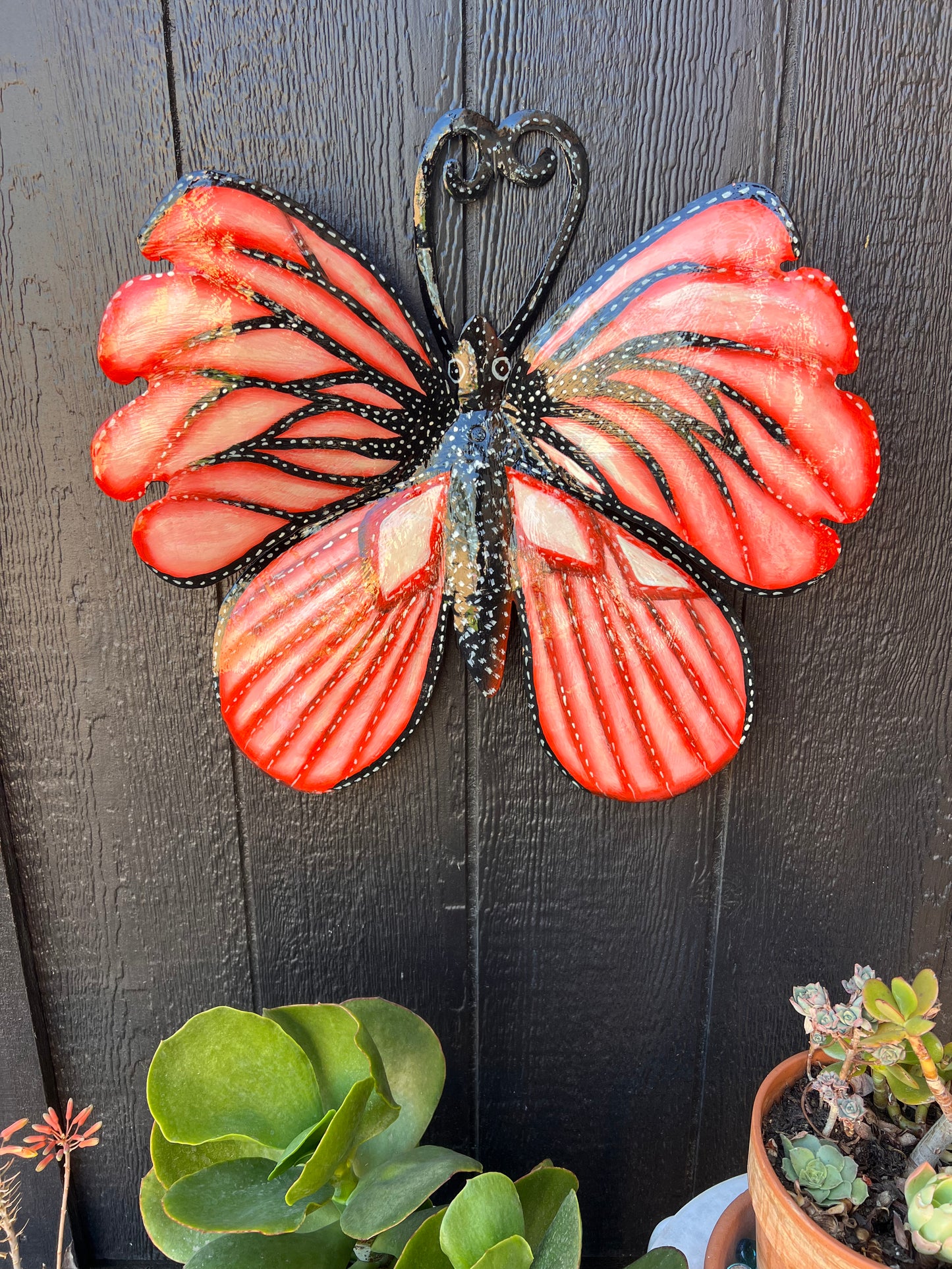3D Jumbo Butterfly